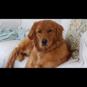 Meet your Posher, Connie